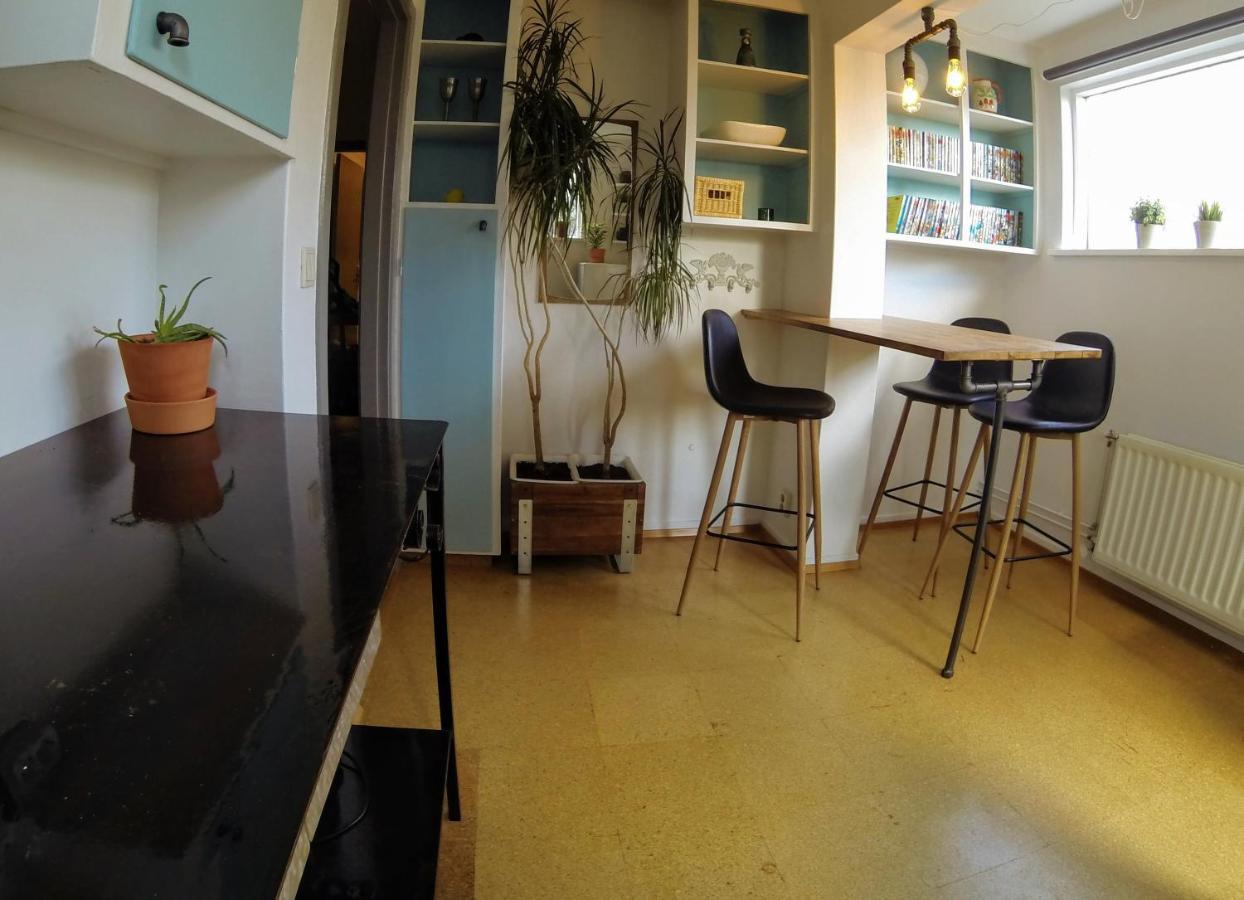 Apartament Skjólbraut Reykjavík Zewnętrze zdjęcie